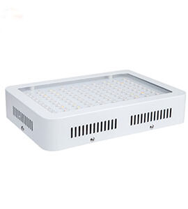 Powerful LED Flood Lights – Bright, Durable & Energy